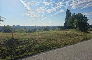 Grundstück zu kaufen in Zgornji Jakobski Dol, 8471 Spielfeld, Baugrund + Freiland (Weingarten) in Aussichtslage auf slowenischer Seite!
