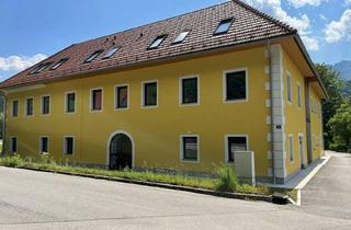 Haus kaufen in 4563 Micheldorf, Liebevoll renoviertes Ertragsobjekt mit 14 Wohneinheiten incl. Bauland