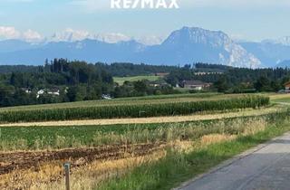 Grundstück zu kaufen in 4901 Ottnang, Baugrundstück mit Blick auf den Traunstein, in Ottnang am Hausruck