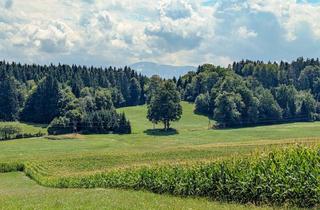 Immobilie kaufen in Moosburg, 9062 Moosburg, Wiesenfläche in Moosburg - attraktive Kapitalanlage in der Natur.