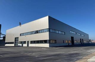 Büro zu mieten in 5151 Nußdorf am Haunsberg, 1700 m² Produktions- & Lagerflächen im Rewal Businesspark Nußdorf