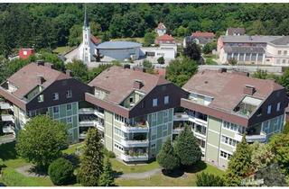 Wohnung kaufen in 3100 Sankt Pölten, Dachterrassenwohnung in wunderschöner ruhiger Lage nähe Traisenpark