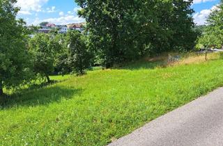 Grundstück zu kaufen in Leitnerweg, Leharweg, 4111 Walding, Wohnen am Land aber in Stadtnähe