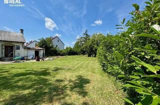 Grundstück zu kaufen in 2602 Blumau-Neurißhof, Errichten Sie hier Ihr Traumhaus auf 1.248 m² in Blumau-Neurißhof