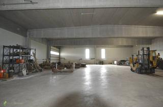 Gewerbeimmobilie kaufen in 2601 Sollenau, Neuwertiges Gewerbeobjekt-Bürohaus mit Lager,in Sollenau: 16.477 m², 40 Garagen und große Abstellfläche, top Ausstattung!