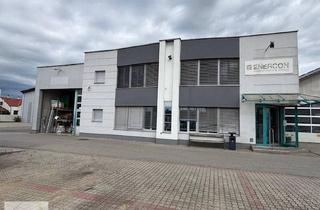 Büro zu mieten in 7122 Gols, Gols - Bürogebäude mit Lager- und Sozialräumen sowie großem Parkplatz