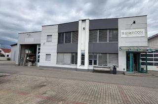 Büro zu mieten in 7122 Gols, Gols - Bürogebäude mit Lager- und Sozialräumen sowie großem Parkplatz