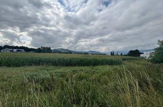 Gewerbeimmobilie kaufen in 4542 Nußbach, Landwirtschaftliche Nutzflächen - ca. 5,5 ha