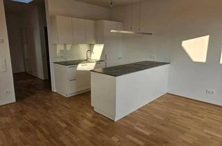 Wohnung mieten in 3430 Tulln an der Donau, kühle Dachgeschosswohnung ink. Garge in Fußgängerzone