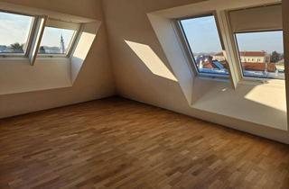 Wohnung mieten in 3430 Tulln an der Donau, kühle Dachgeschosswohnung ink. Garge in Fußgängerzone