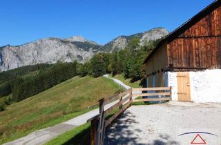 Gewerbeimmobilie kaufen in 8790 Eisenerz, Wunderschöne Aussichtslage - Verkaufe ca. 7 ha Wiese mit Baugrund!