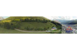 Gewerbeimmobilie kaufen in 8790 Eisenerz, Wunderschöne Aussichtslage - Verkaufe ca. 7 ha Wiese mit Baugrund!