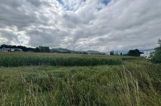 Grundstück zu kaufen in 4542 Nußbach, Landwirtschaftliche Nutzflächen - ca. 5,5 ha