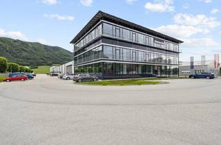 Lager kaufen in Ziehbergstraße 2, 4563 Micheldorf, Großzügiges Büro-, Produktions- und Hallengebäude samt Baulandreserve
