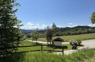 Grundstück zu kaufen in Bärndorfer Straße, 9062 Moosburg, Traumhaftes Grundstück mit Blick in die Karawanken