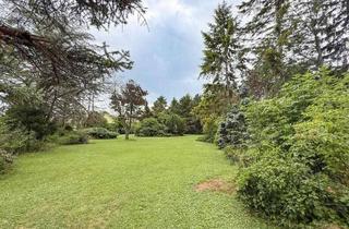 Grundstück zu kaufen in Fourlanigasse, 2604 Theresienfeld, [06613] Exklusives Grundstück mit Altbaumbestand und gepflegtem Garten