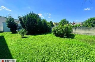 Mehrfamilienhaus kaufen in 2560 Berndorf, NEUER PREIS Mehrfamilienhaus I extra Werkstatt & Garage I Garten uneinsehbar