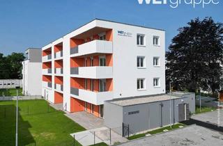 Wohnung mieten in Maulbeergasse 14/2/17, 2232 Deutsch-Wagram, Junges Wohnen in Miete | Top 2/17 | 3. OG mit Balkon