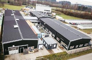 Gewerbeimmobilie kaufen in 4501 Neuhofen an der Krems, Gewerbehallen mit Büro im Linzer Zentralraum