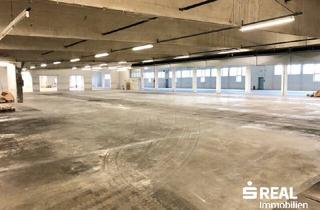 Büro zu mieten in 4614 Marchtrenk, Lagerhalle - Miete ca. 7.360 m² + 15 Stellplätze