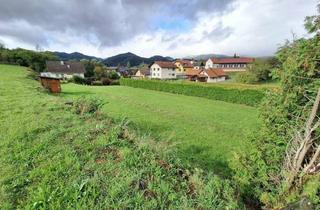 Grundstück zu kaufen in 8662 Krieglach, Bauträgergrundstück! 6265 m2 Eigengrund! Kein Bauzwang! Ruhelage und Aussicht