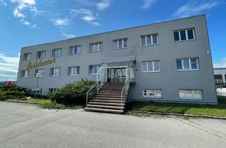 Lager mieten in Industriestraße B 12, 2345 Brunn am Gebirge, Büro-, Verkaufs- und Lagerflächen im Süden Wiens!