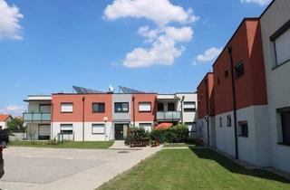 Wohnung mieten in 2475 Neudorf, Wohnung in Neudorf