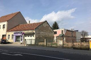 Mehrfamilienhaus kaufen in 2331 Vösendorf, Ein- und Mehrfamilienhaus mit Potential, auch für Bauträger geeignet!!!