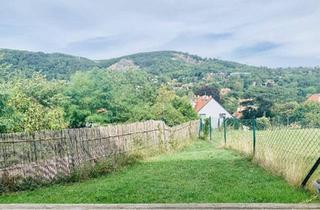 Wohnung mieten in 2371 Hinterbrühl, Charmante 2-Zimmer-Wohnung mit Terrasse und Garten, sowie zwei Aussenstellplätze