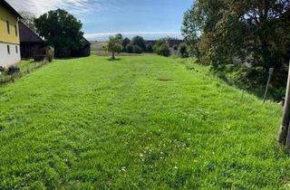 Grundstück zu kaufen in Wetzleinsdorf 40, 2113 Wetzleinsdorf, Provisionsfreie Baugrundstücke in attraktiver Lage in Wetzleinsdorf - Ihr Traumgrundstück wartet!