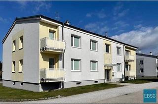 Wohnung mieten in Danglsiedlung WE 1, 3871 Alt-Nagelberg, Single- oder Pärchenwohnung im EG