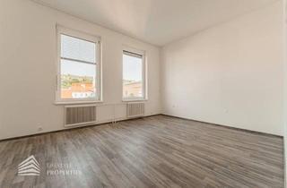 Wohnung mieten in 3500 Krems an der Donau, Helle 1-Zimmer Wohnung mit Terrasse in Krems an der Donau, Nähe Göglhaus