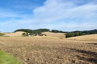 Grundstück zu kaufen in 4624 Pennewang, Baugrund in Naturlage mit Fernblick