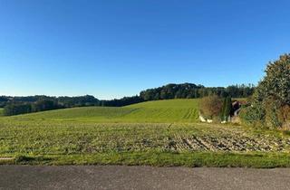 Grundstück zu kaufen in 4624 Pennewang, Baugrund in Naturlage mit Fernblick