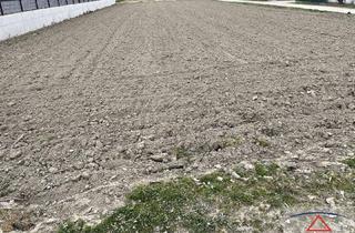 Grundstück zu kaufen in 2301 Groß-Enzersdorf, PREISGESENKT: NEUER PREIS! Baugründe in bester Lage!