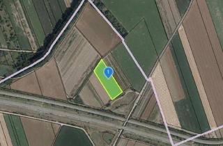 Grundstück zu kaufen in 3441 Freundorf, EINE SELTENE GELEGENHEIT AUF EINE KLEINE ACKERFLÄCHE IN FREUNDORF - ZUSAMMENHÄNGENDE LANDWIRTSCHAFTLICHE FLÄCHE