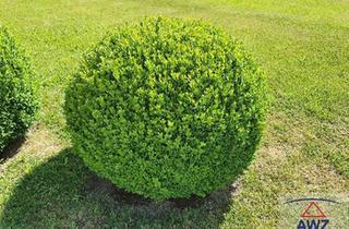 Haus kaufen in 2531 Gaaden, Romantisches Anwesen im Bezirk Mödling