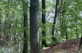 Haus kaufen in 8385 Neuhaus am Klausenbach, Wohnhaus mit Nebengebäuden und Grund!