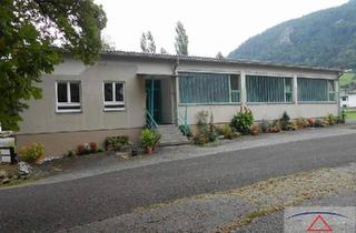 Grundstück zu kaufen in 4460 Losenstein, Halle mit größerem Grundstück und vielen Nutzungsmöglichkeiten!