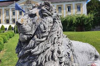 Haus kaufen in 4470 Enns, Interessantes Zinshaus in Enns!