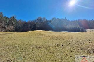 Grundstück zu kaufen in 4656 Kirchham, Einzigartiges Grundstück am Waldrand: Naturparadies mit Baugrund!