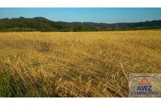 Grundstück zu kaufen in 8282 Loipersdorf bei Fürstenfeld, Großes ebenes Grundstück!