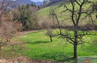 Bauernhäuser zu kaufen in 3153 Eschenau, Bauernhof mit arrondiertem Grund in Alleinlage im Voralpengebiet!