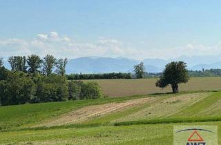 Haus kaufen in 4492 Hofkirchen im Traunkreis, Idylle pur: Blockhaus mit Gartenparadies!