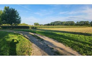 Gewerbeimmobilie kaufen in 3441 Pixendorf, EINE SELTENE GELEGENHEIT AUF EINE KLEINE ACKERFLÄCHE IN FREUNDORF - ZUSAMMENHÄNGENDE LANDWIRTSCHAFTLICHE FLÄCHE