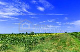 Grundstück zu kaufen in 7092 Winden am See, Große Freiheit