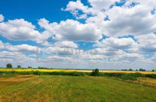 Grundstück zu kaufen in 7092 Winden am See, Große Freiheit