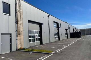 Büro zu mieten in Frischeisstraße 12, 4490 Sankt Florian, Betriebs- oder Lagerhallen von 59 - 230 m² Fläche im FE Business Park St. Florian / Asten zu vermieten - PROVISIONSFREI! (Top 04a)