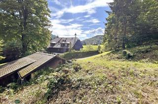 Grundstück zu kaufen in 5330 Fuschl am See, Grundstück in Fuschl am See