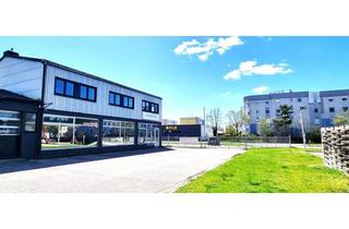 Büro zu mieten in Grieskirchner Straße 116, 4600 Wels, Betriebsliegenschaft-Lagerhalle mit Büro und Schauraum in zentraler Lage